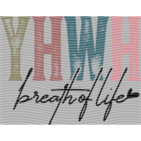 Valentine's Day-QRJ  7221